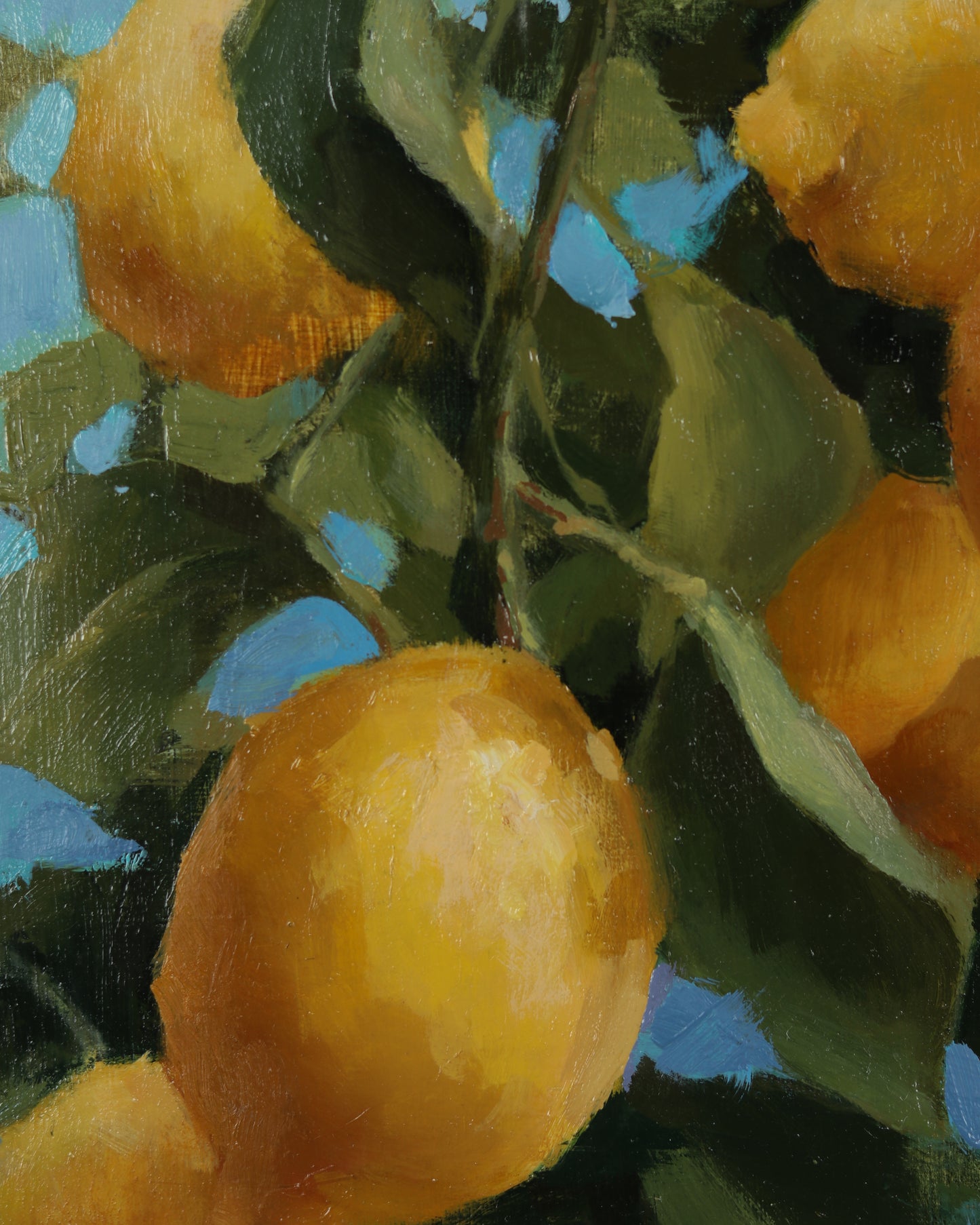 Sunwashed Lemons