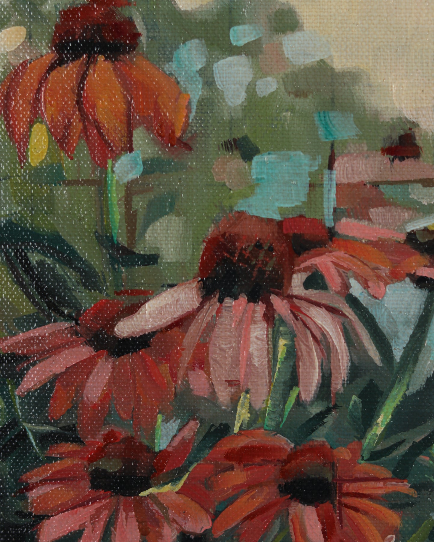 Coneflowers