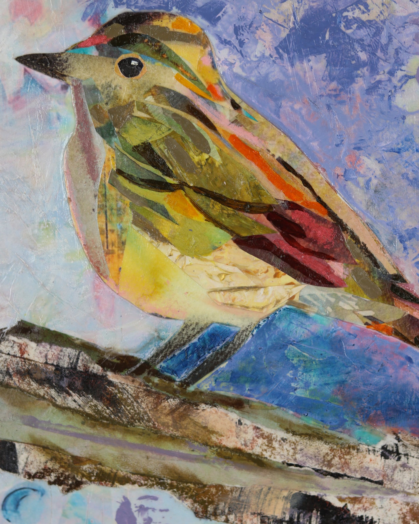 Ash Throated Fly Catcher