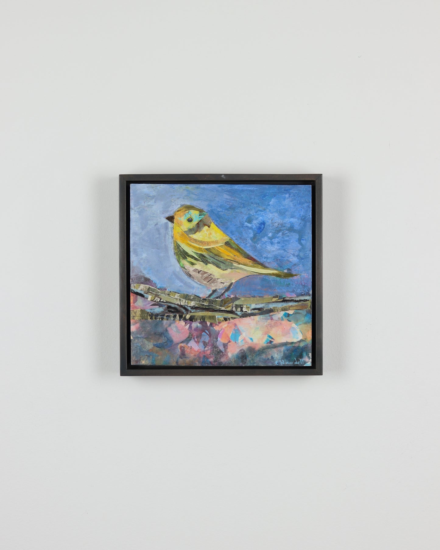 Grace Warbler