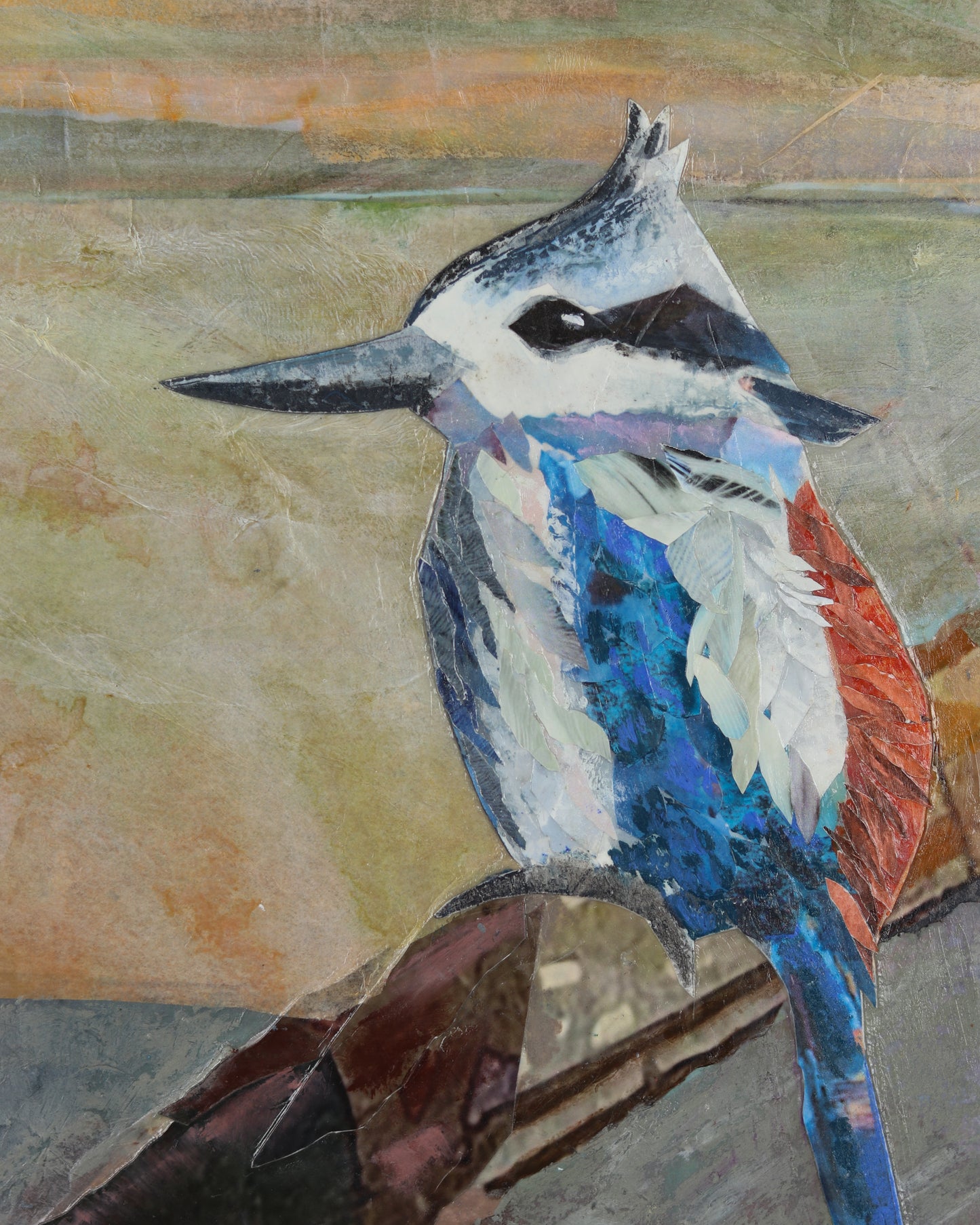 Red-Backed Kingfisher