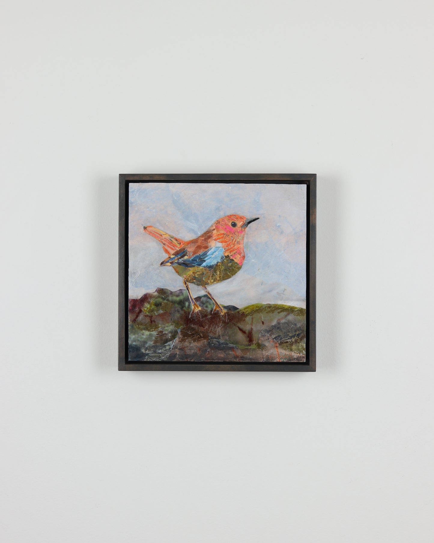 European Robin