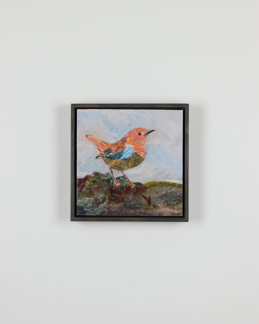 European Robin
