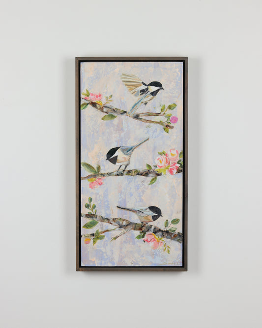 Chickadee's In Sping