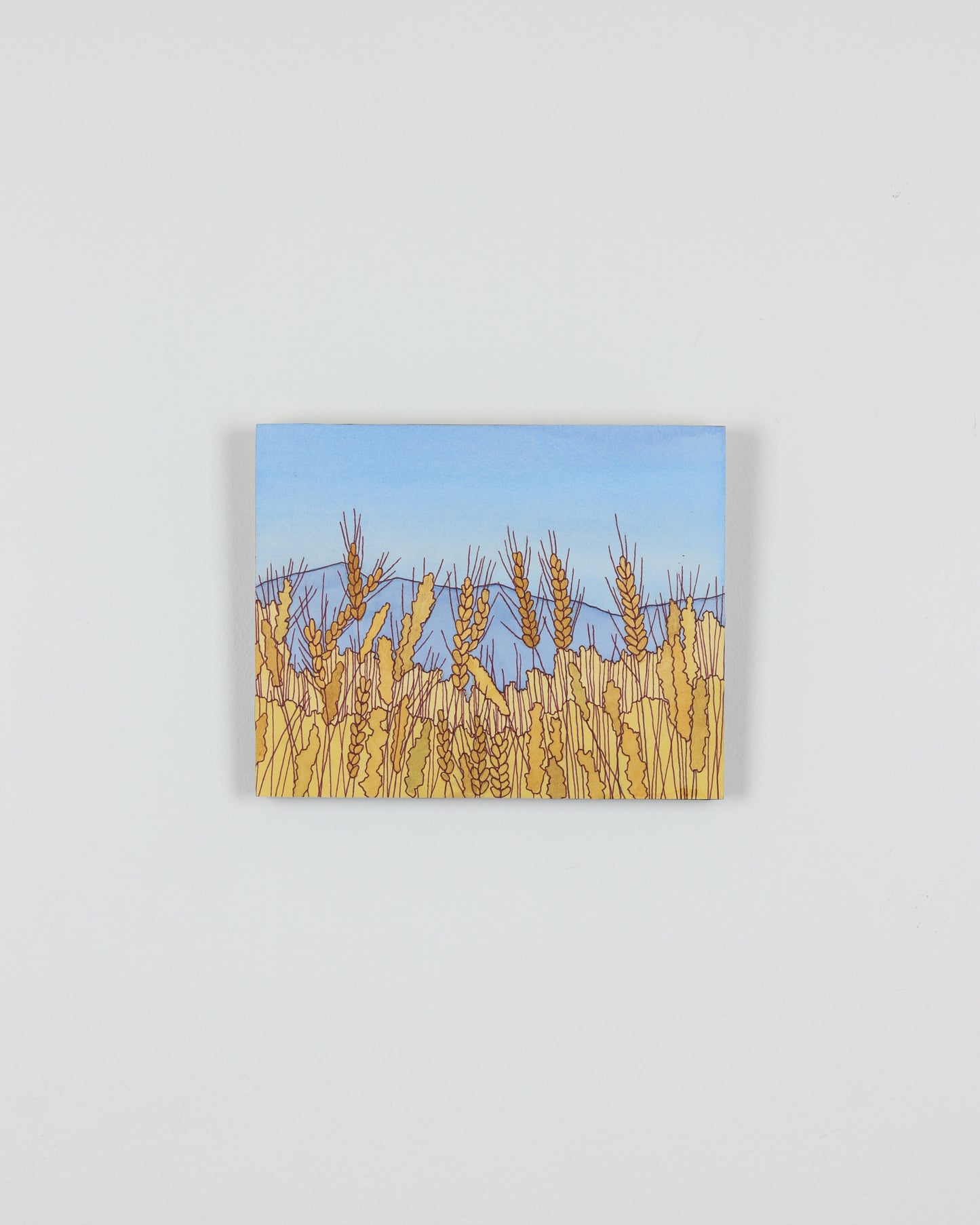 Amber Waves of Grain