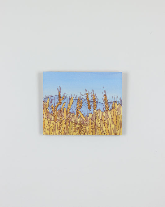 Amber Waves of Grain