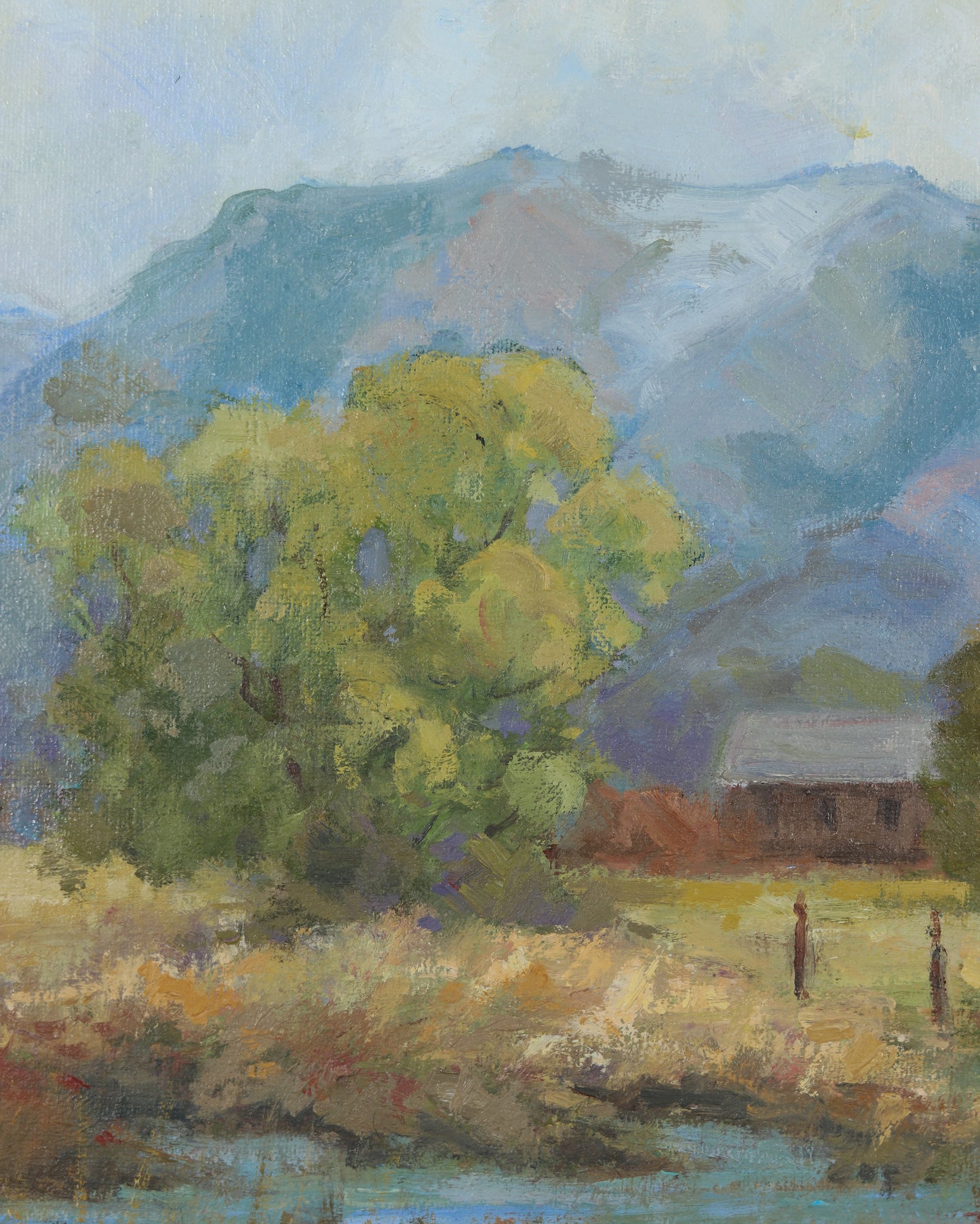 Our Vanishing Landscape