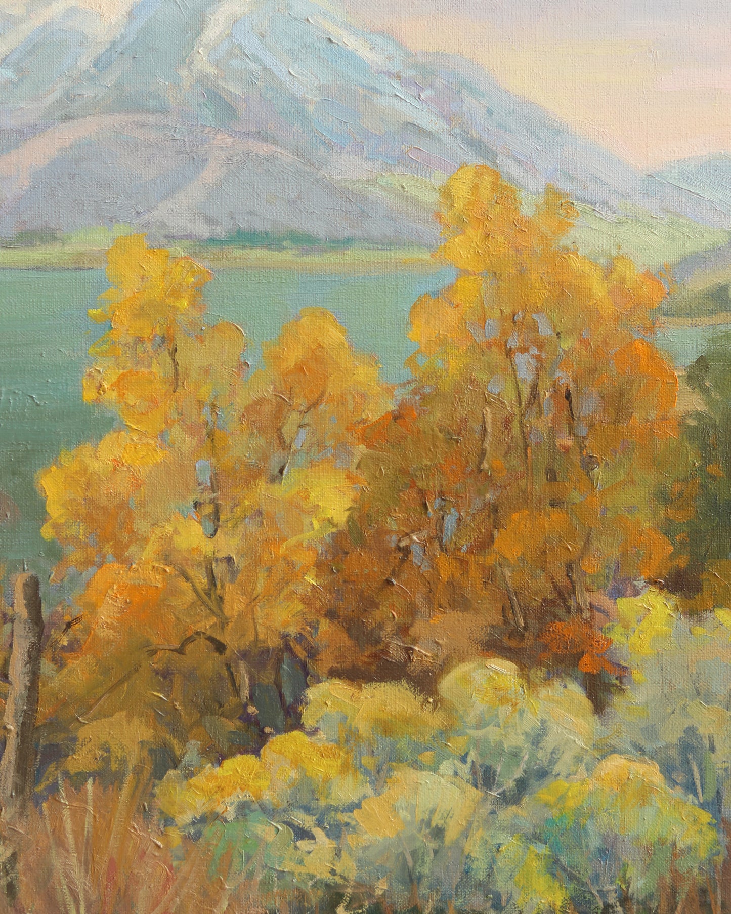 Looking North Timpanogas