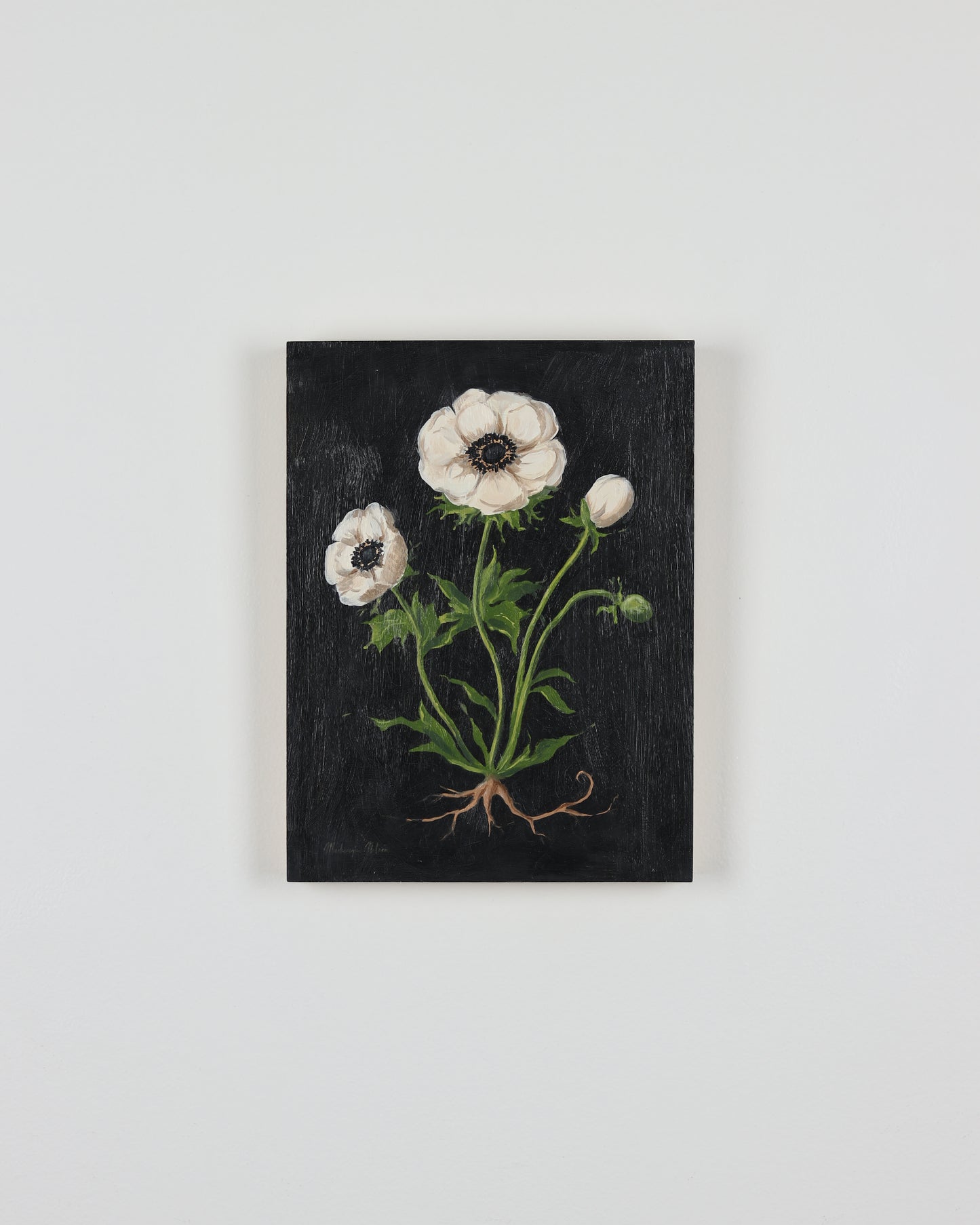 Vintage Anemone 1