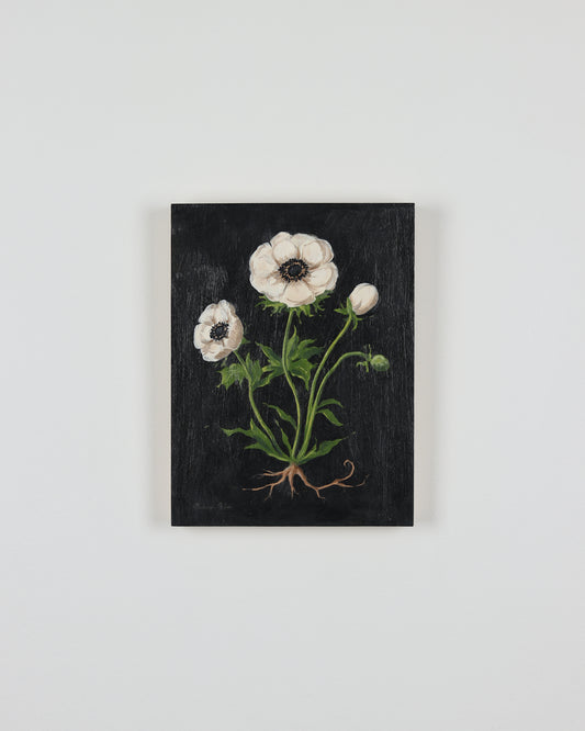 Vintage Anemone 1