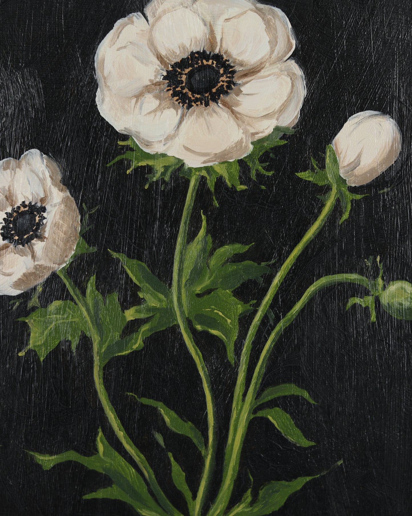 Vintage Anemone 1
