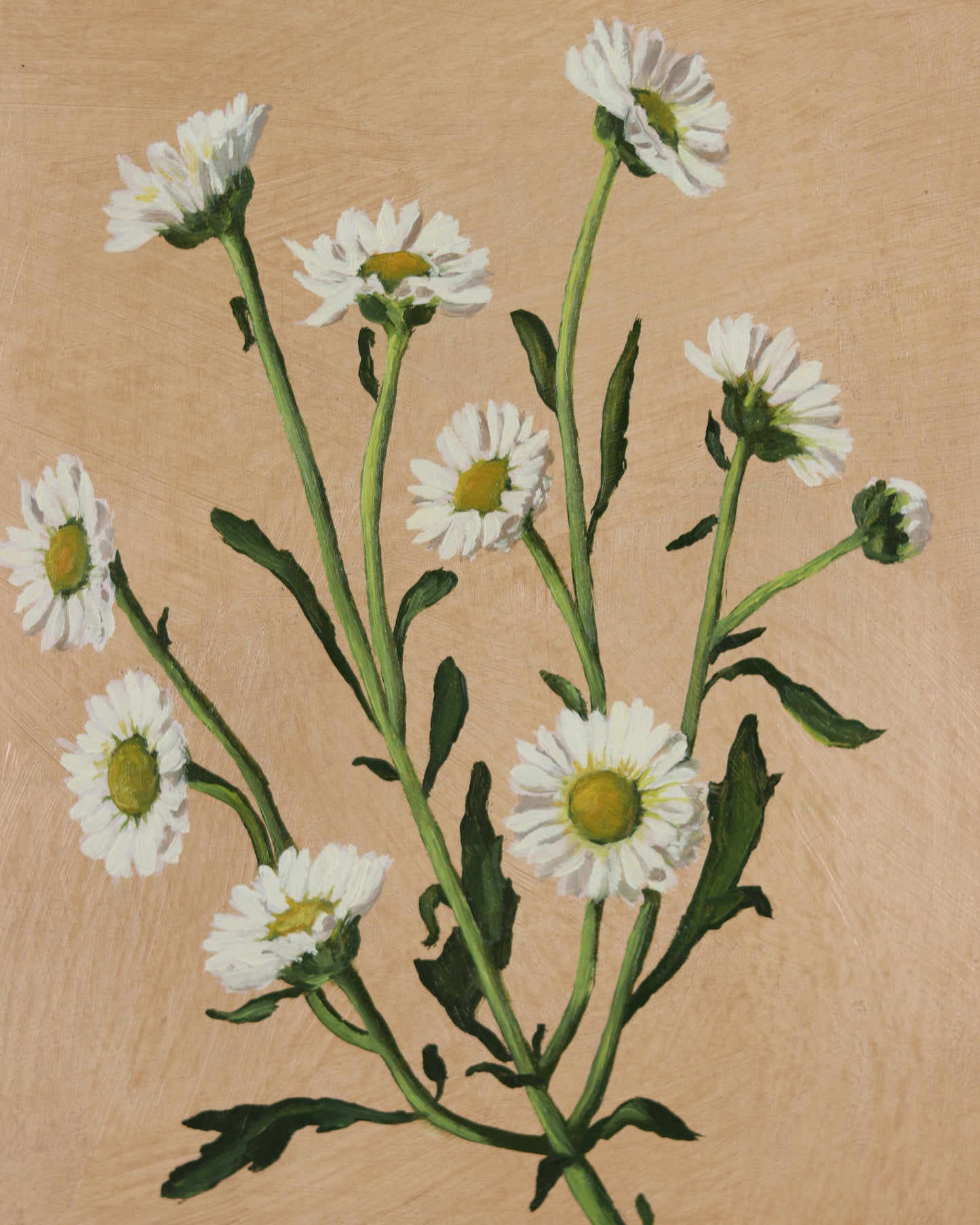 Sprig Of Mums