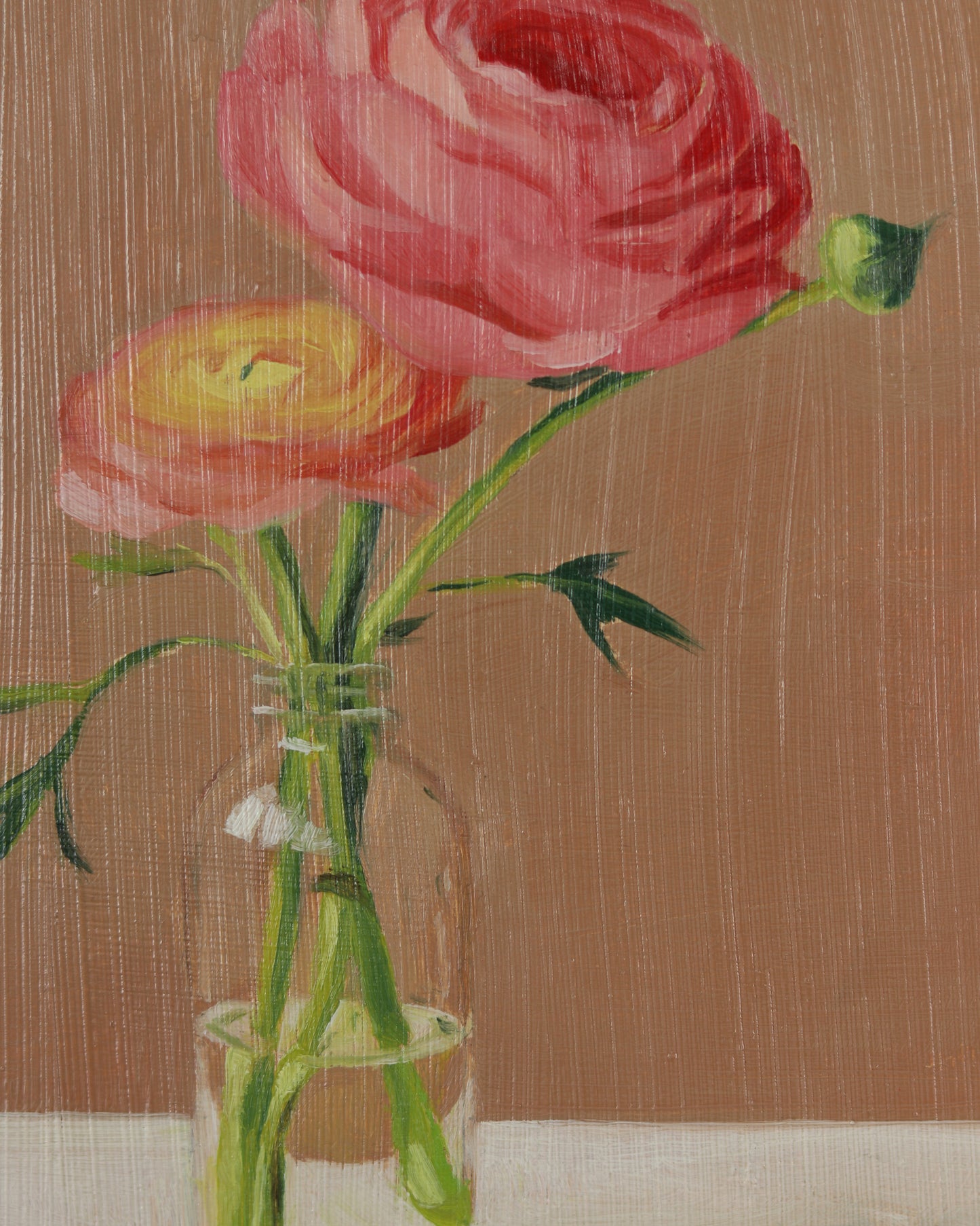 Ranunculus 1