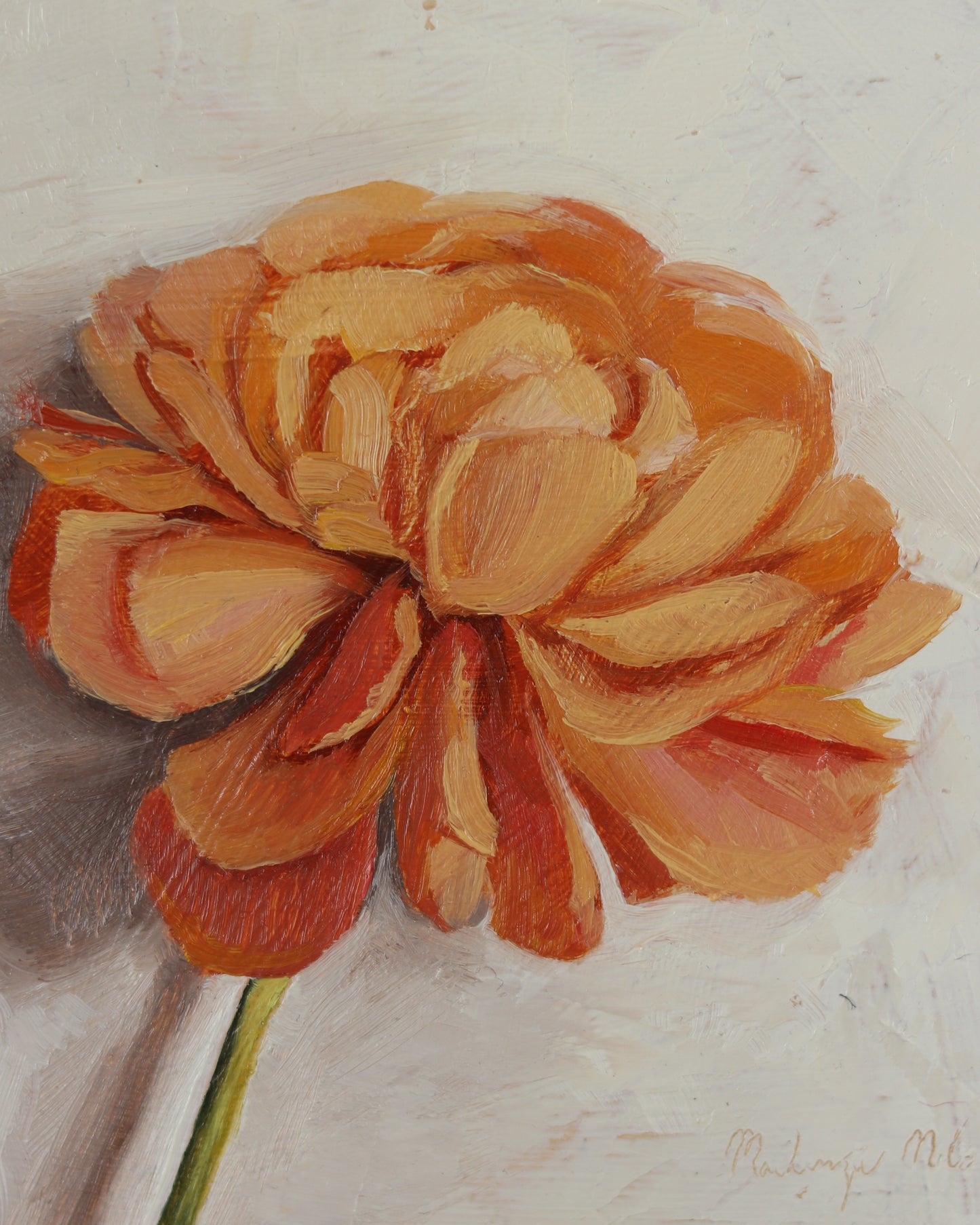 Peaceful Petals