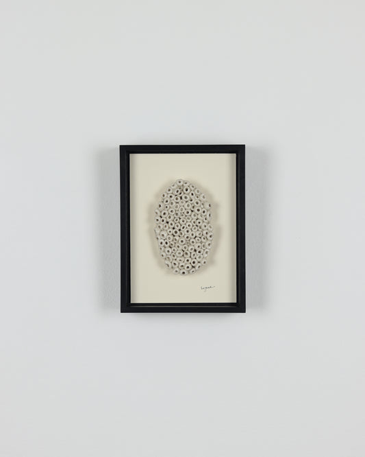 Texture Study 3 (coral)
