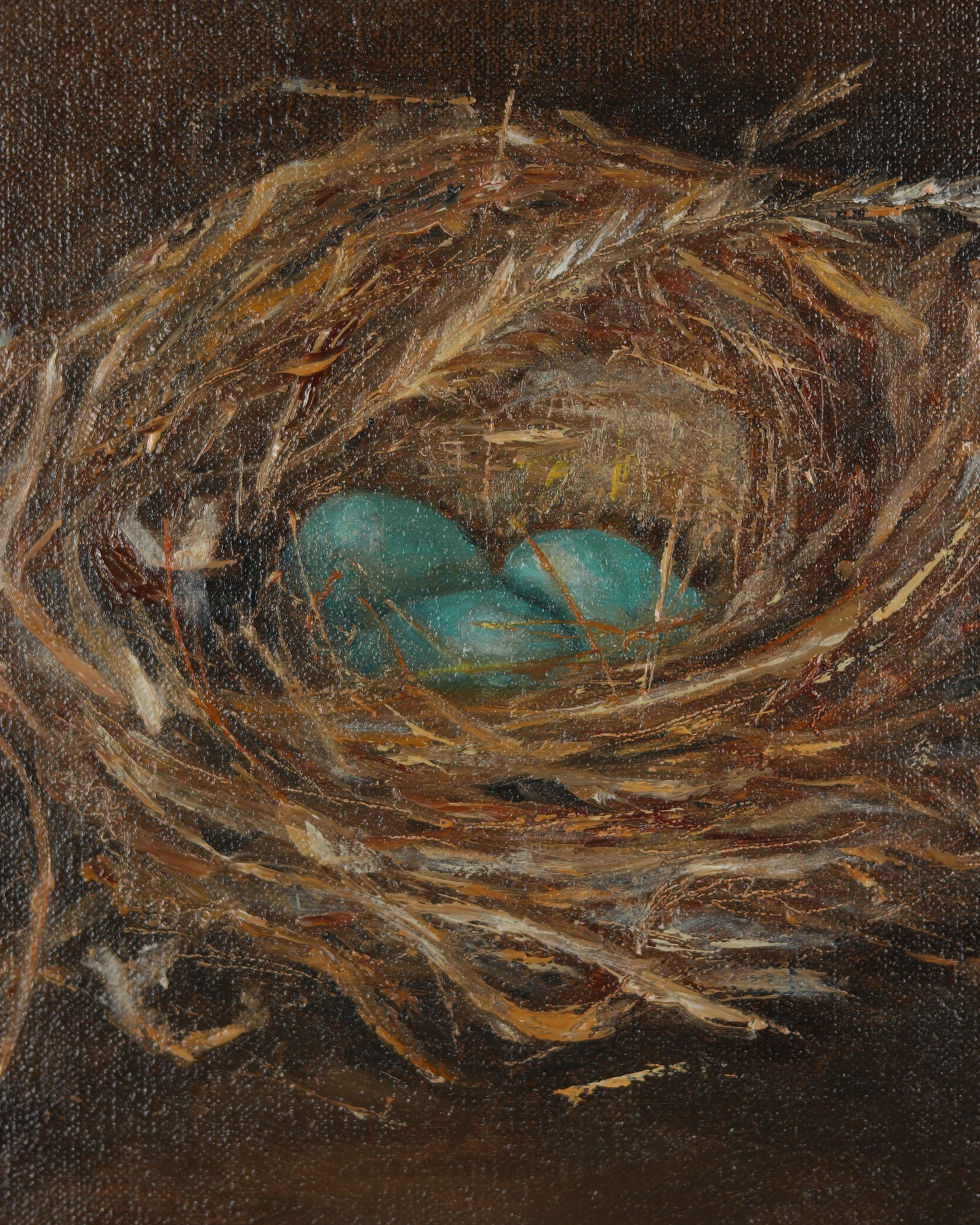 Nest