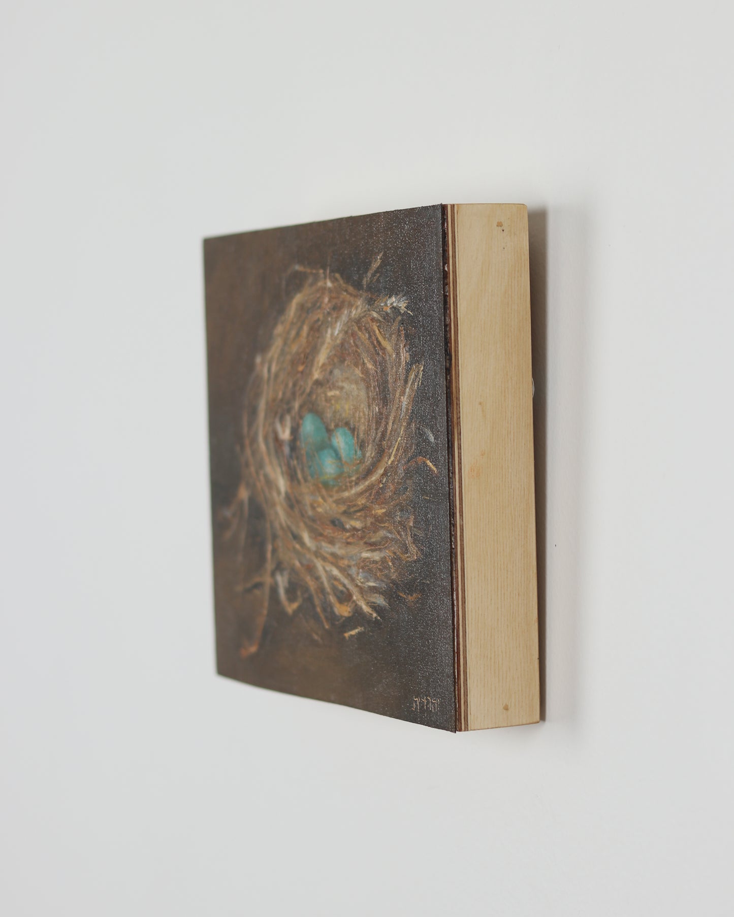 Nest