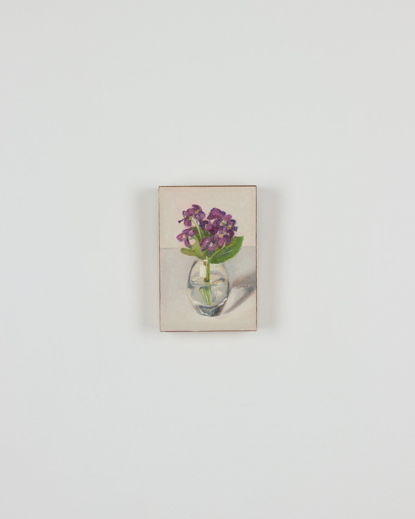 Violets