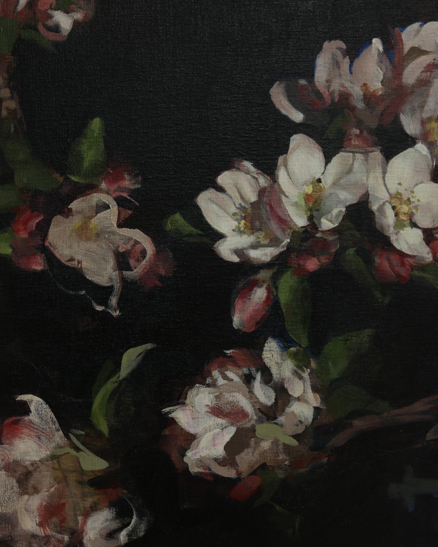 Apple Blossoms for Van Gogh