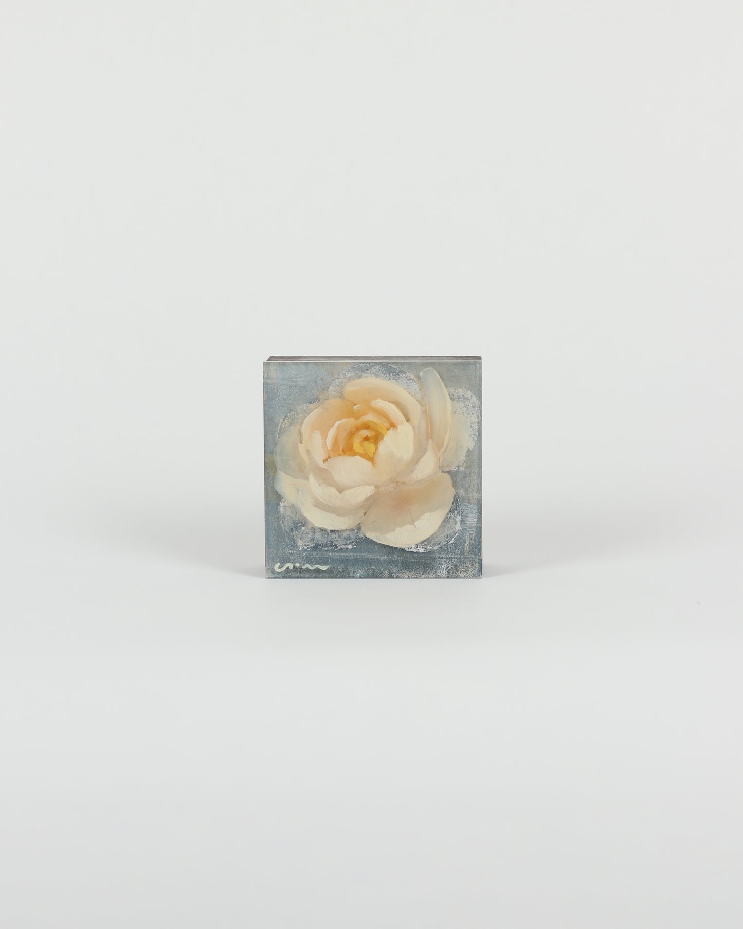 White Peony
