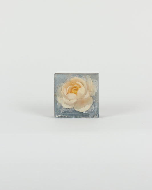 White Peony