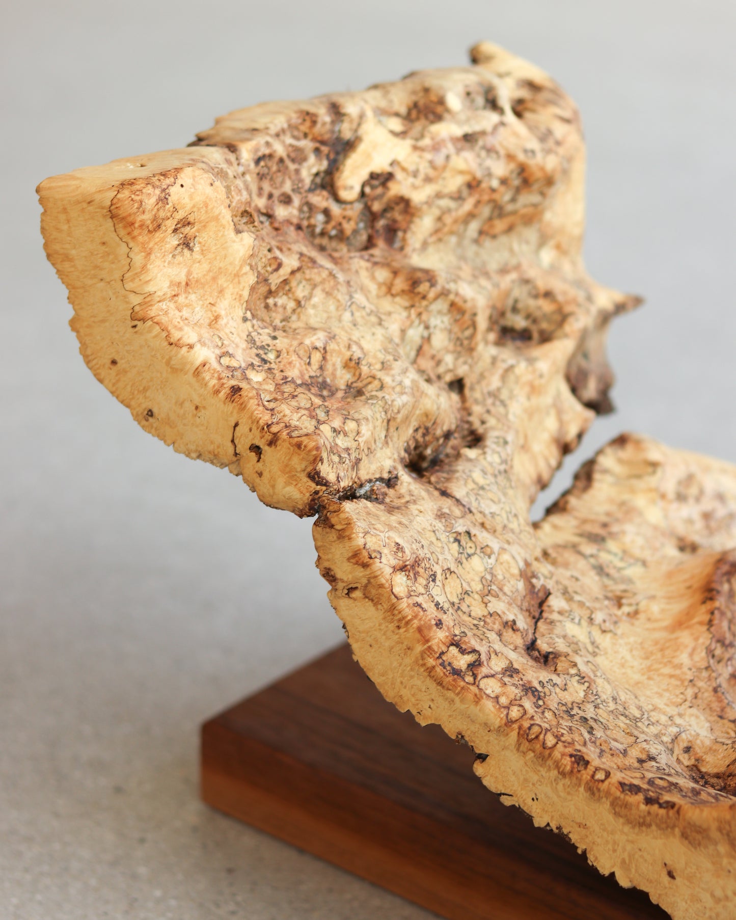 Box Elder Sculpture