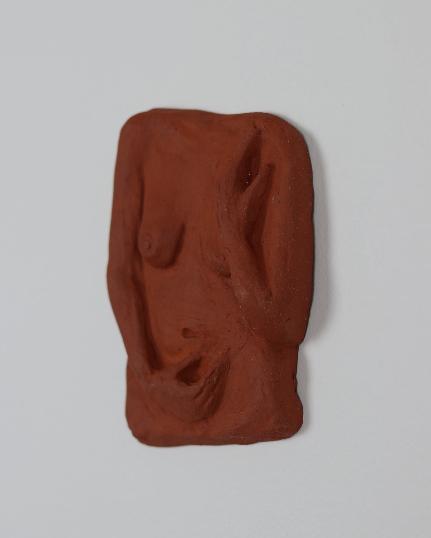 Veil 1