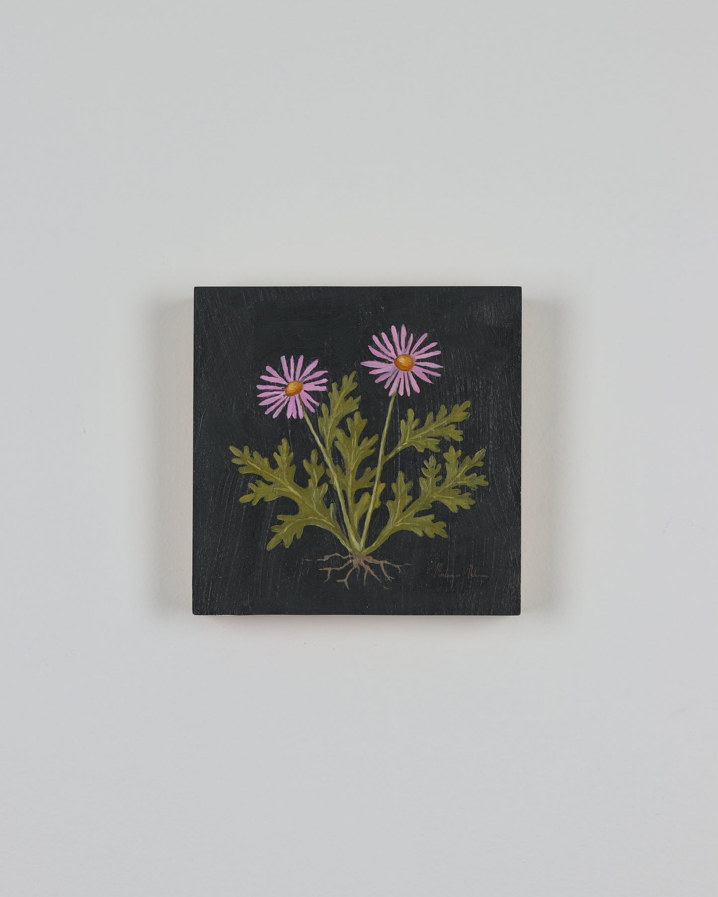 Vintage Chrysanthermum