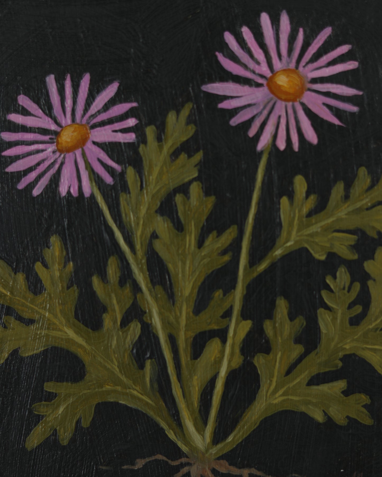 Vintage Chrysanthermum