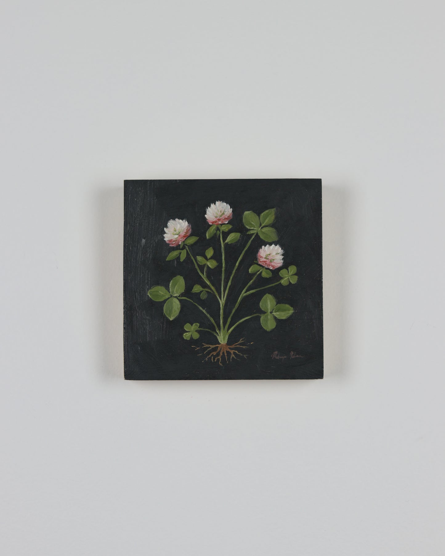 Vintage Clover