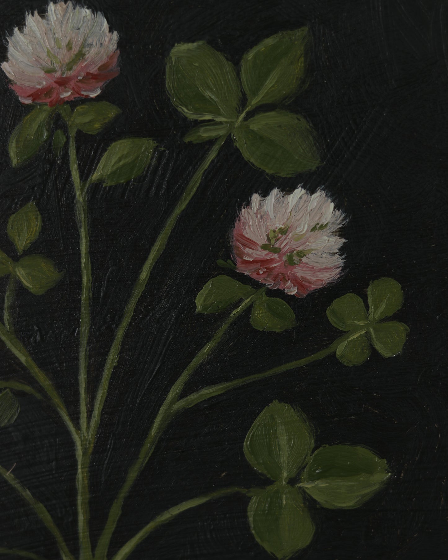 Vintage Clover