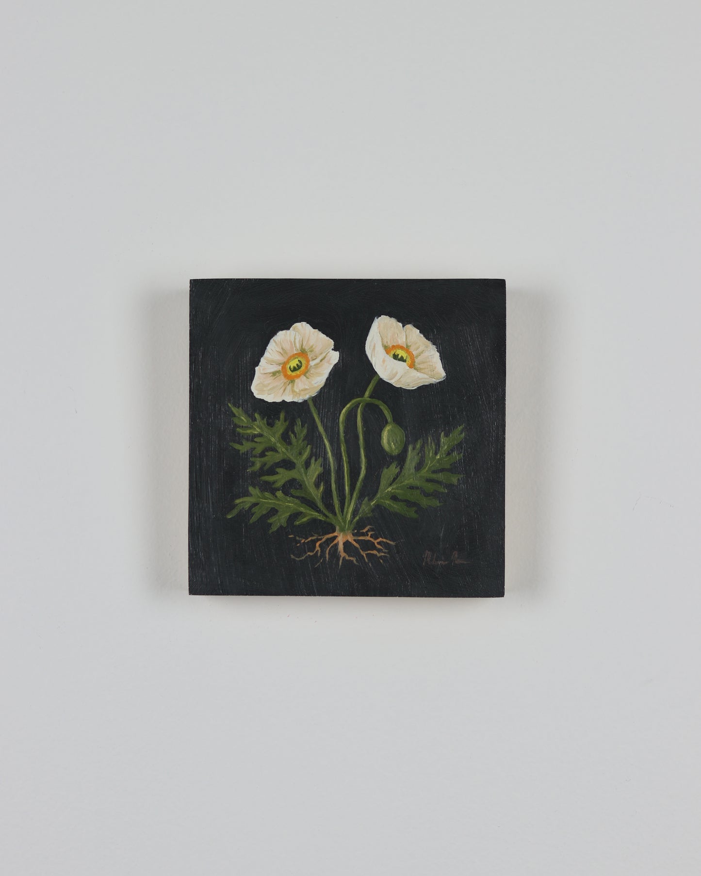 Vintage White Poppies