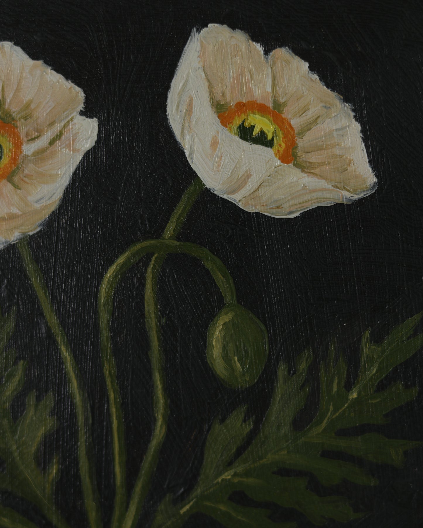 Vintage White Poppies