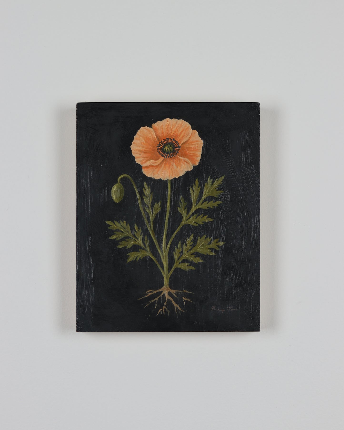 Vintage Icelandic Poppy