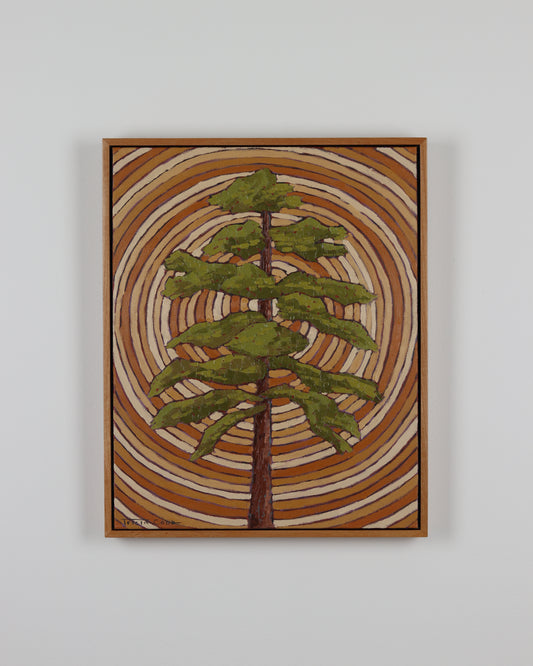 Mother Nature & The Stories She Holds