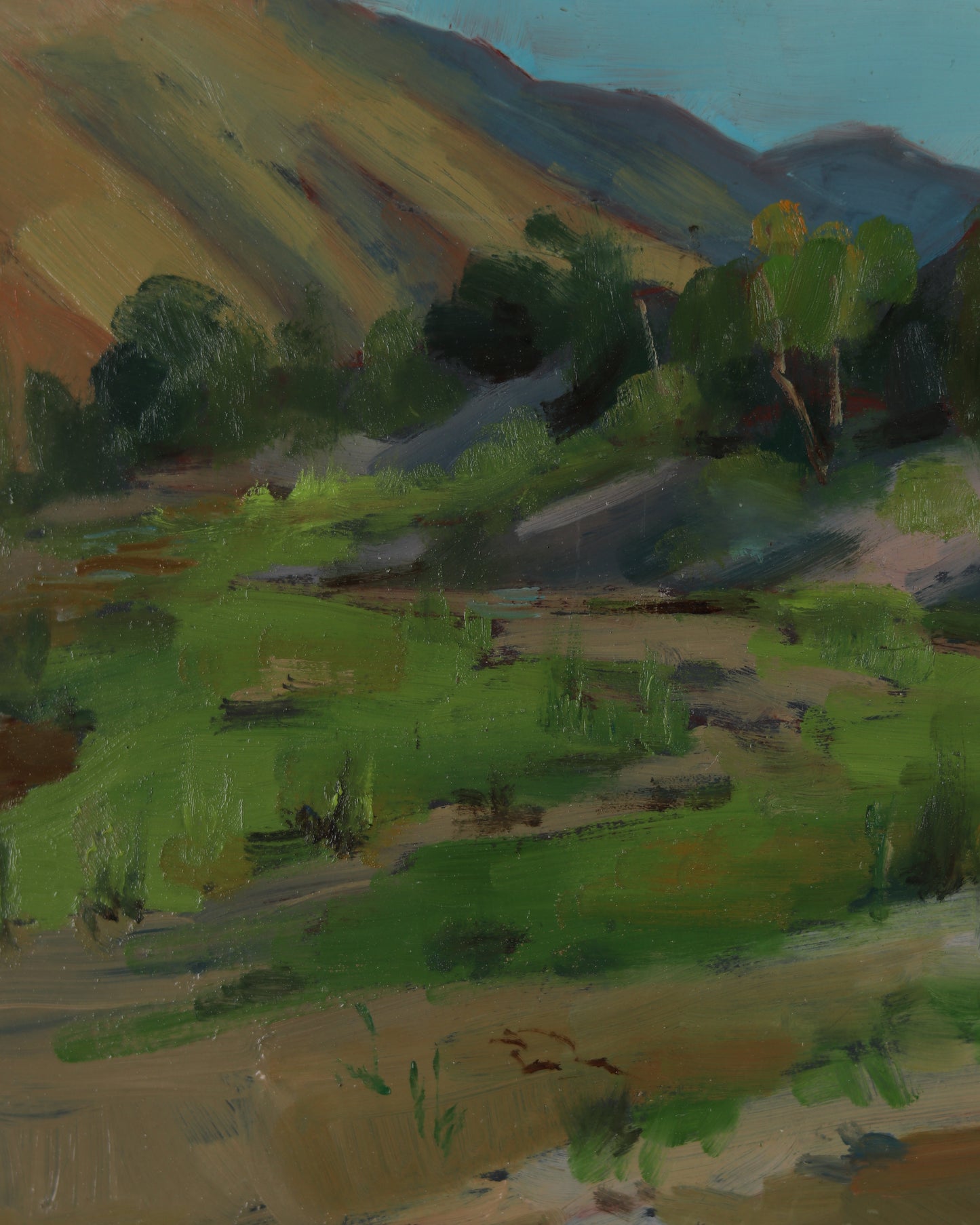 Refreshing Canyon Stream