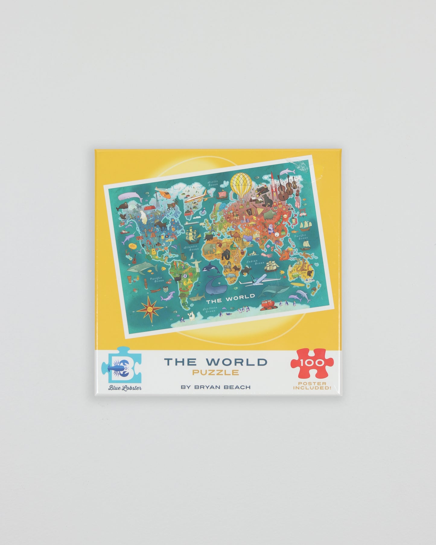 World puzzle 100