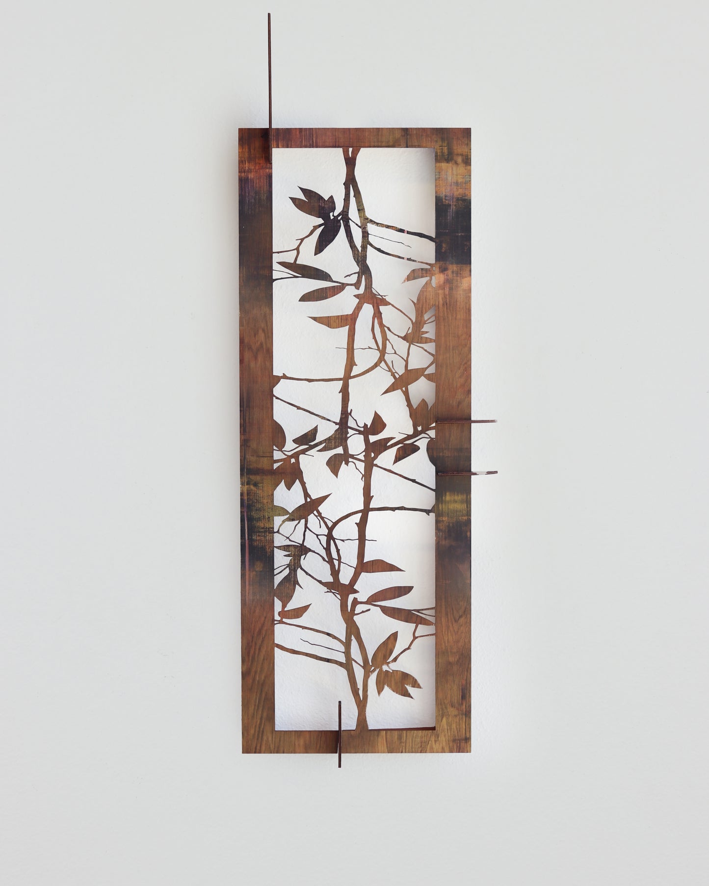 Leaves