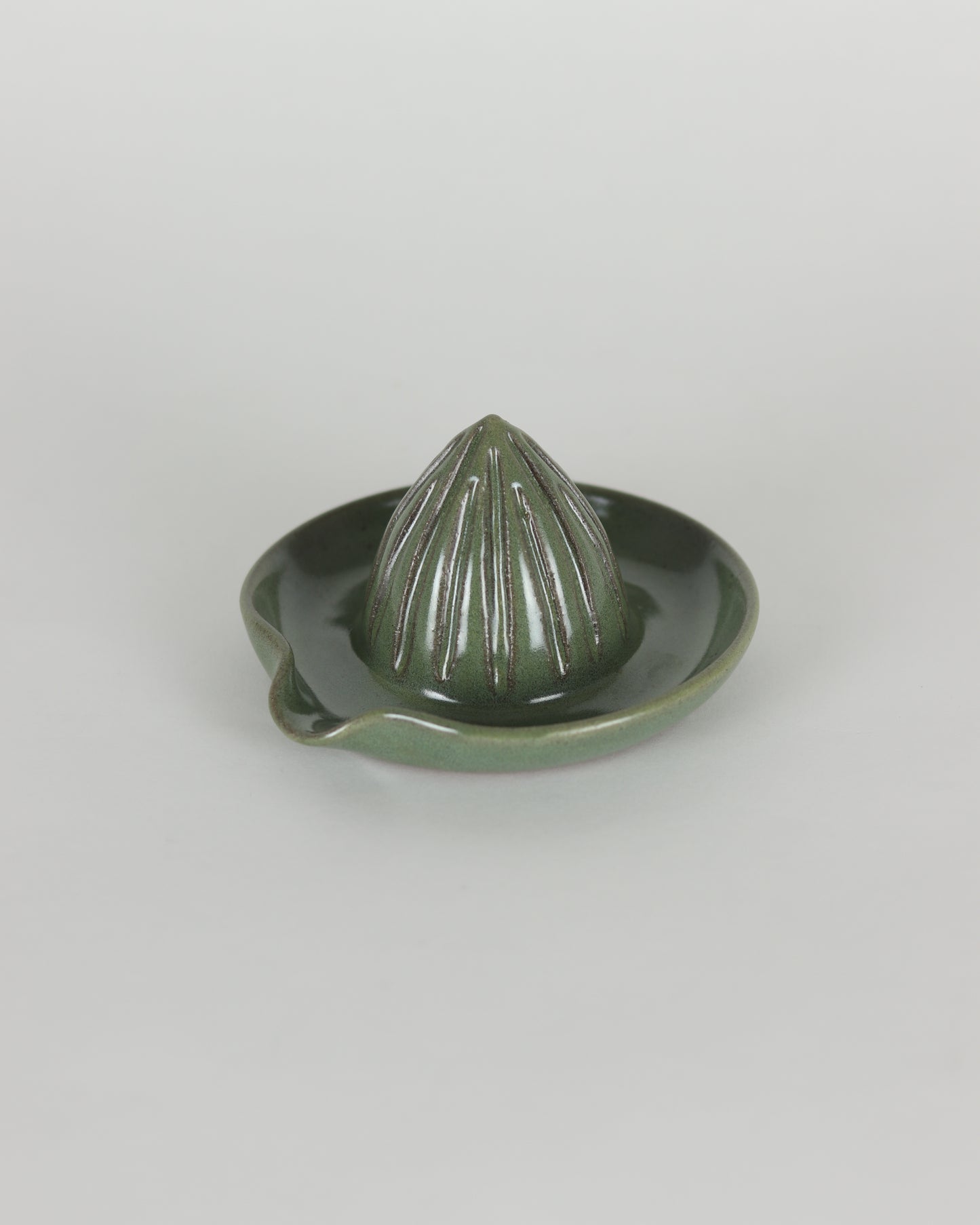 Moss Green Citrus Juicer