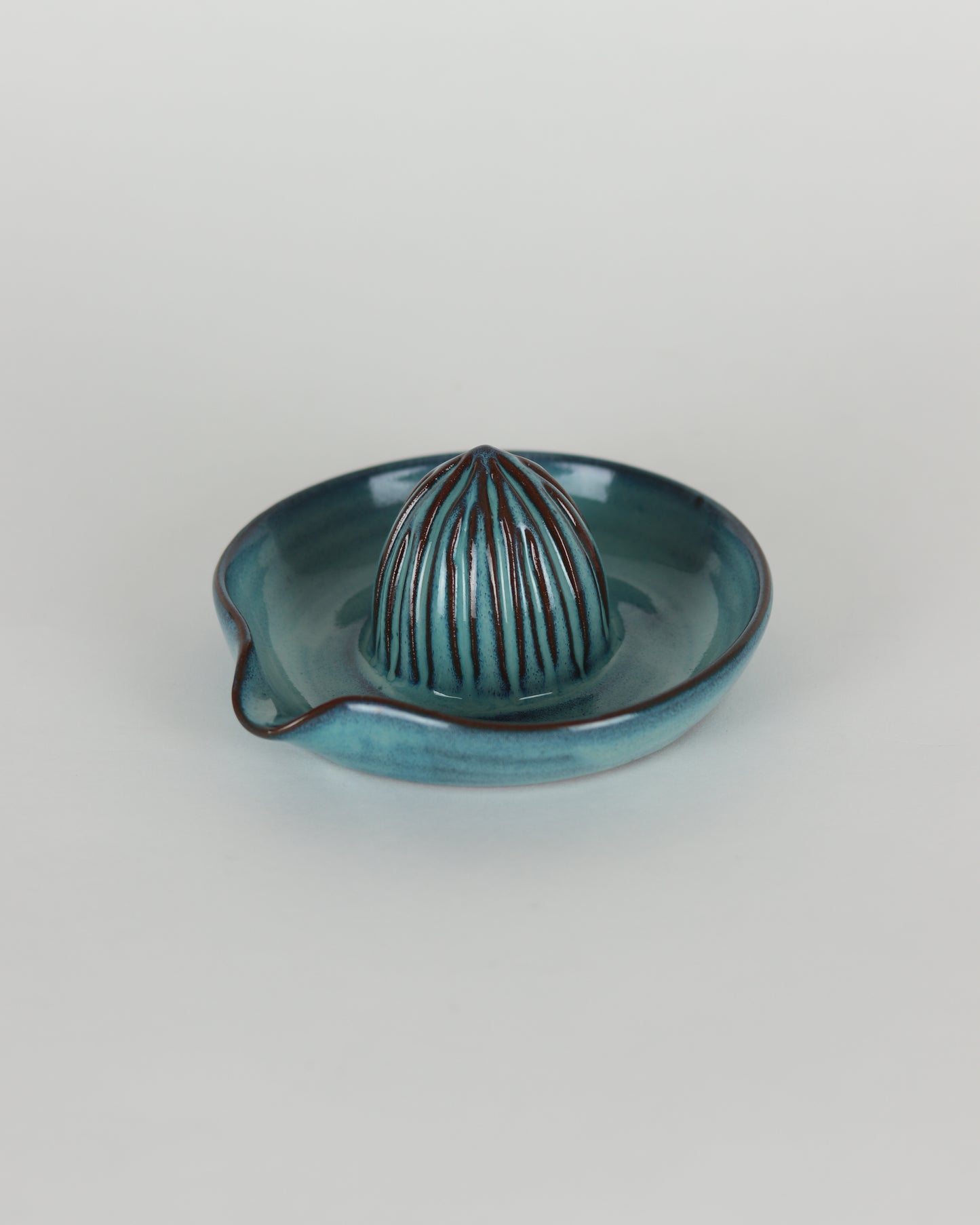 Lagoon Blue Citrus Juicer