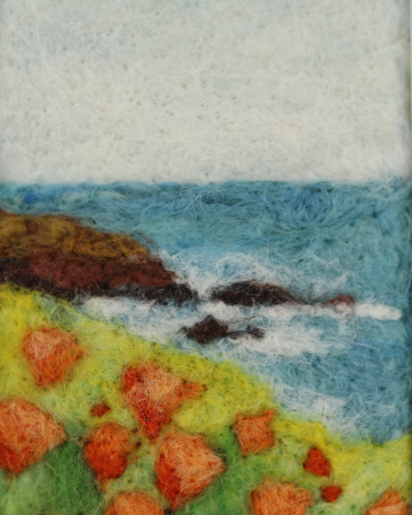 Big Sur Poppies