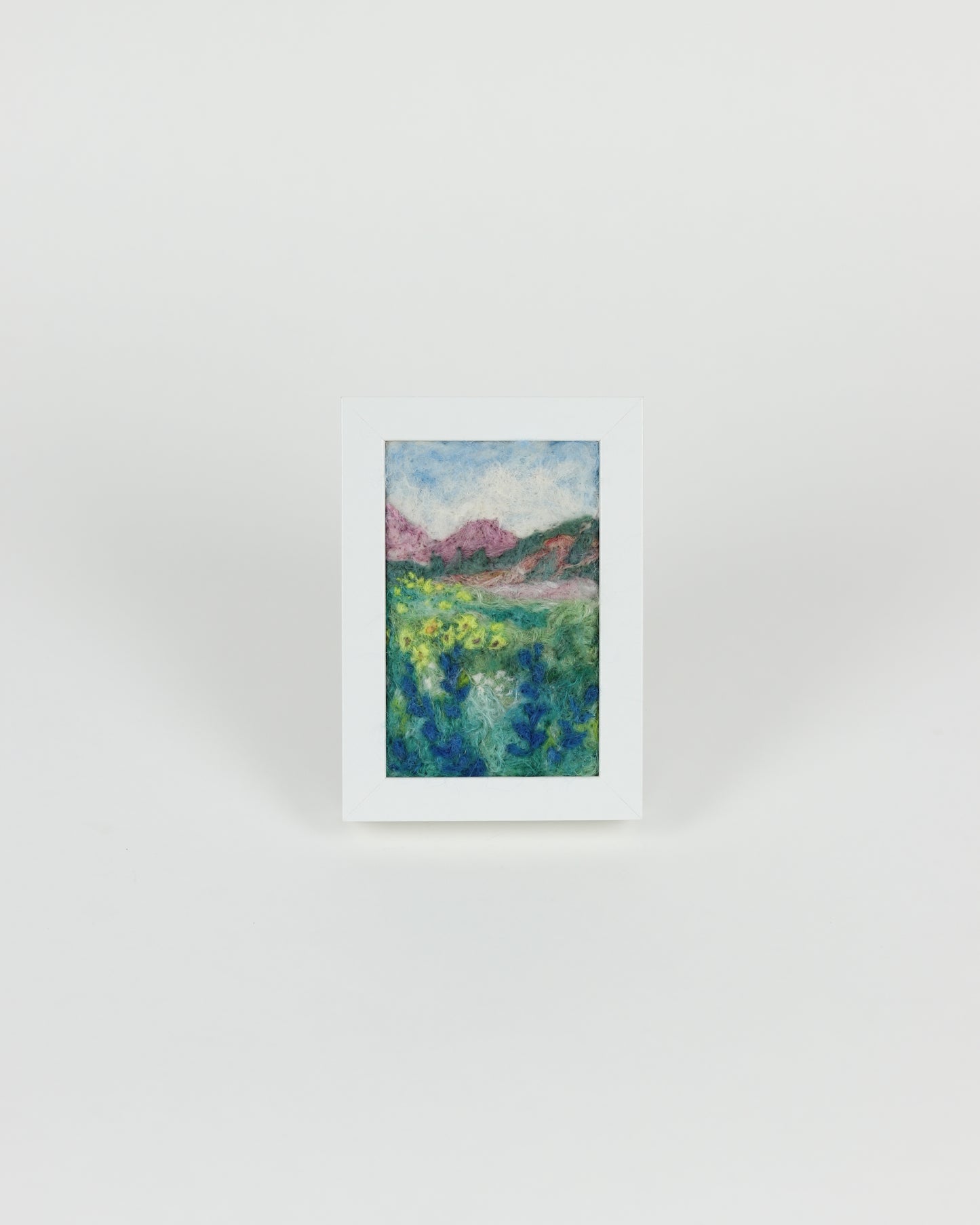 Alpine Flowers