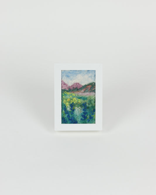 Alpine Flowers