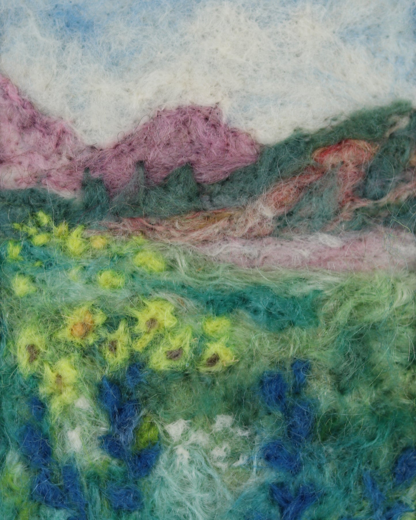 Alpine Flowers