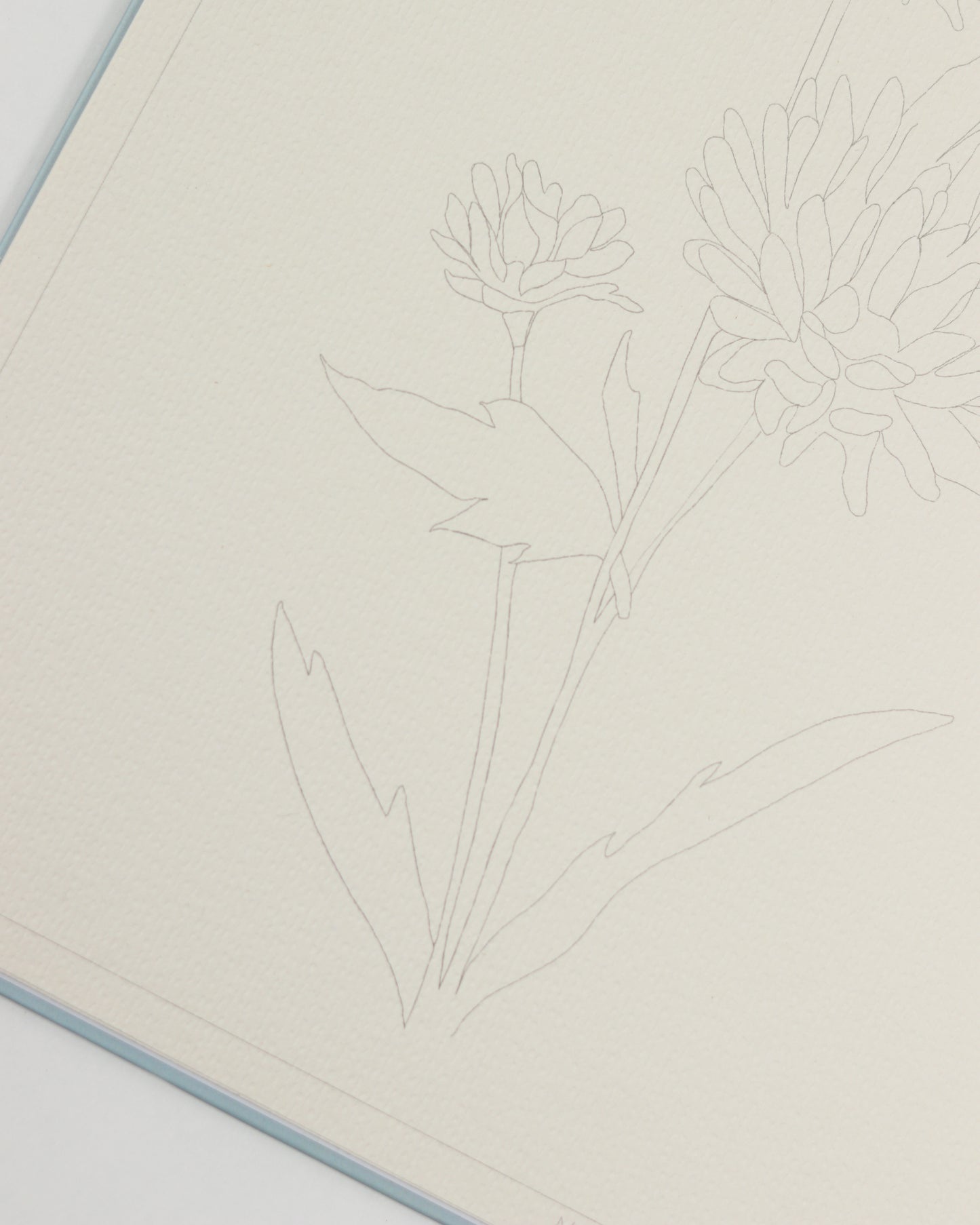 Floral Watercolor Book