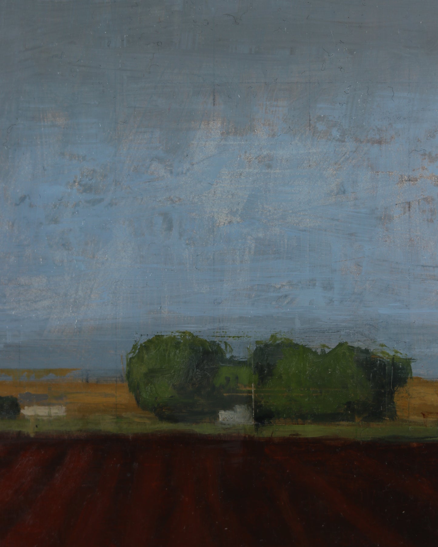 Field with Breaking Blue