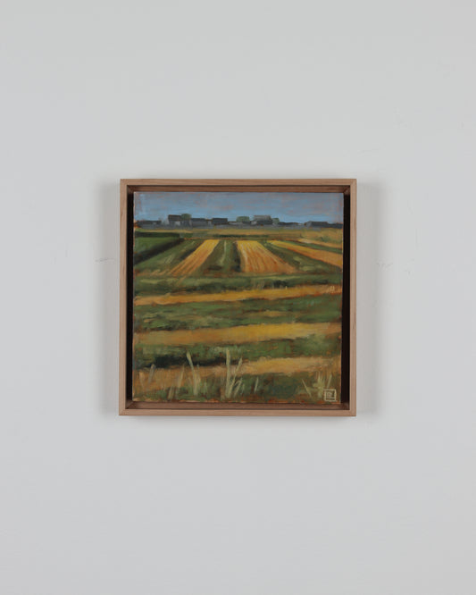 Field Near Benjamin