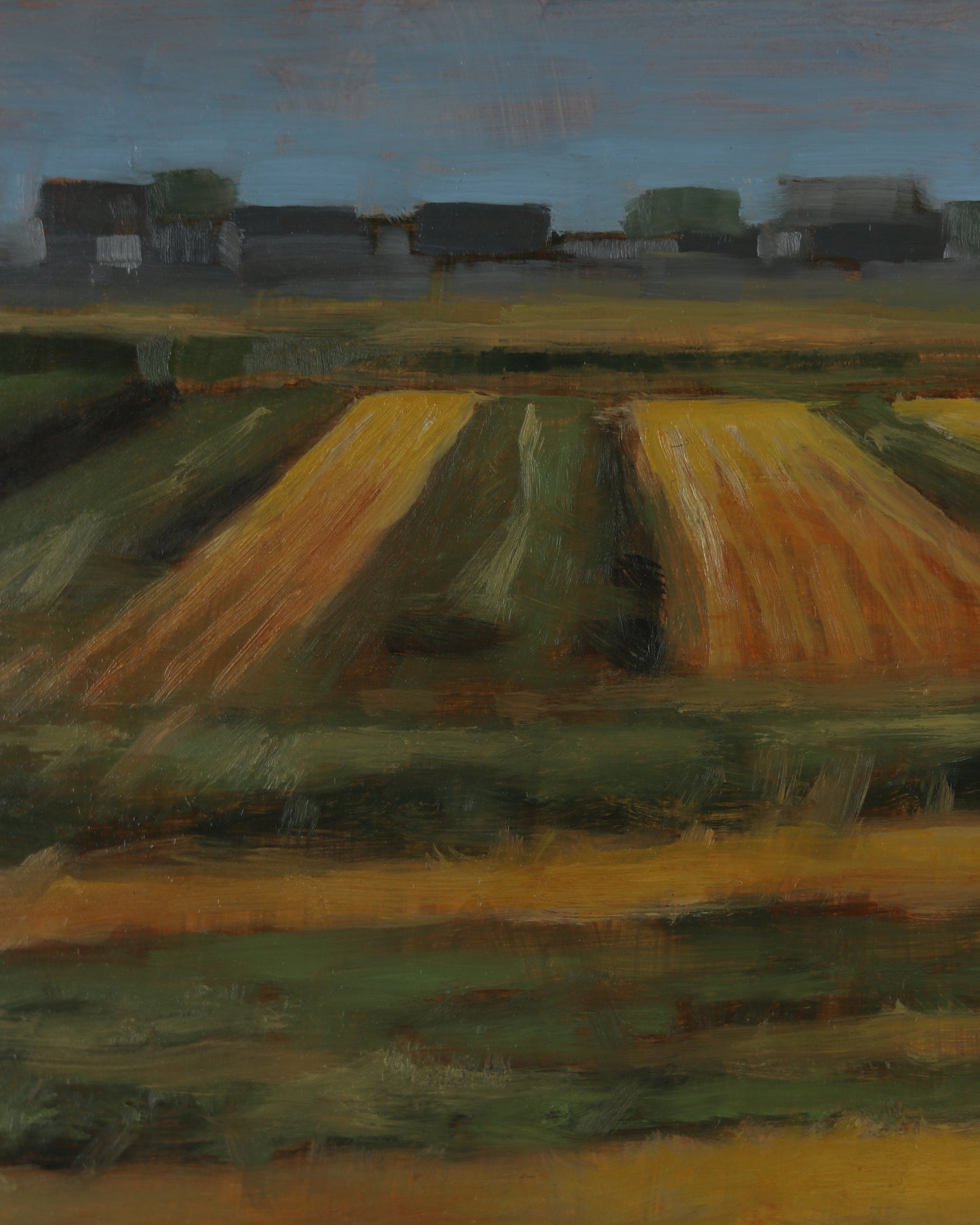 Field Near Benjamin