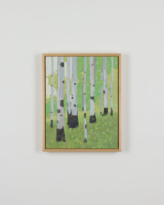 Aspen Grove