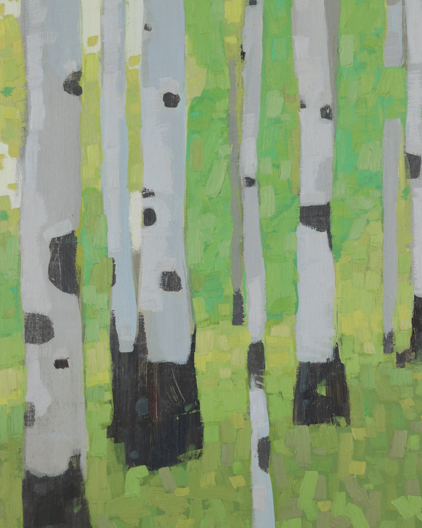 Aspen Grove